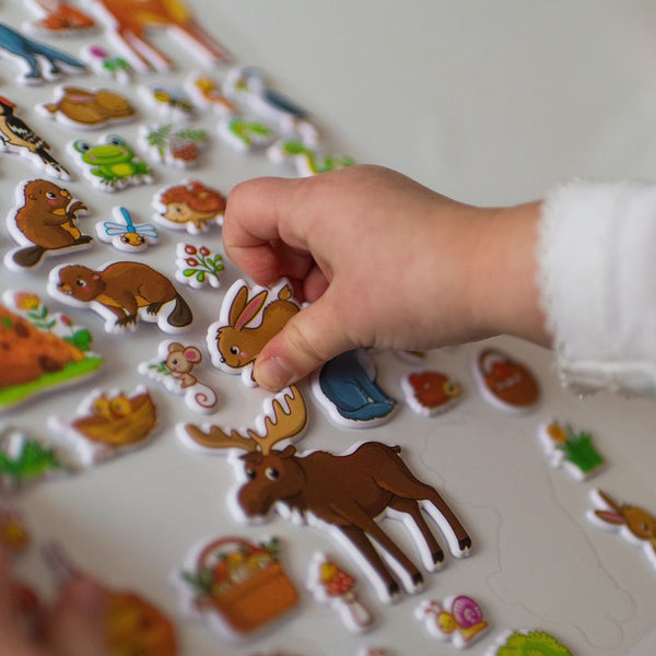 3D Oktató matricák