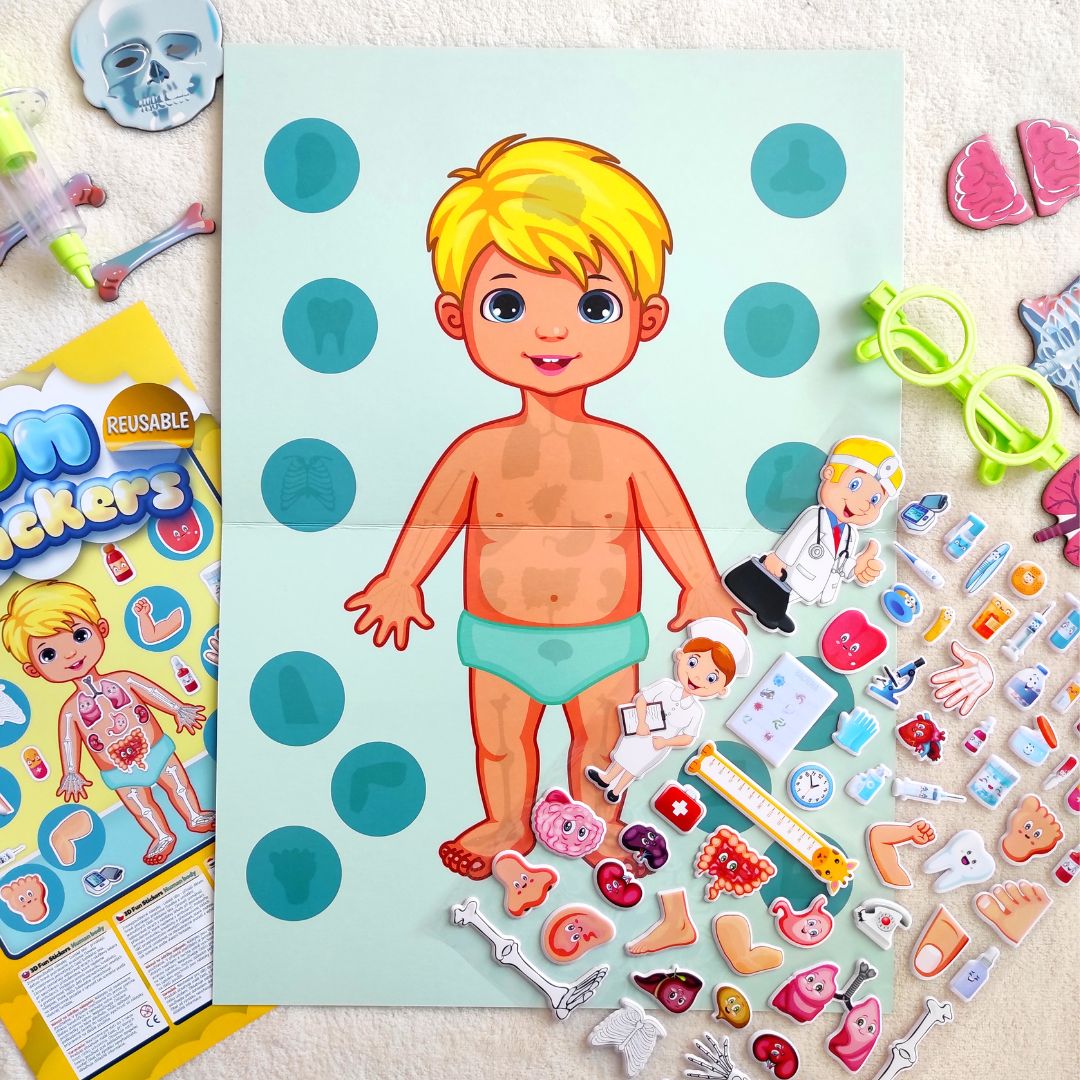 3D Oktató matricák