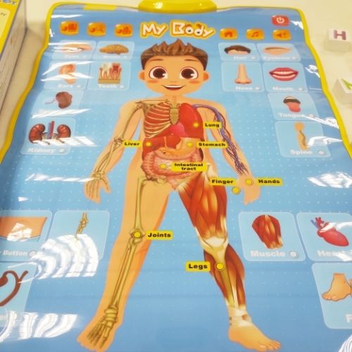 BEST LEARNING i-Poster My Body - Jogo Interativo Educacional de Anatom